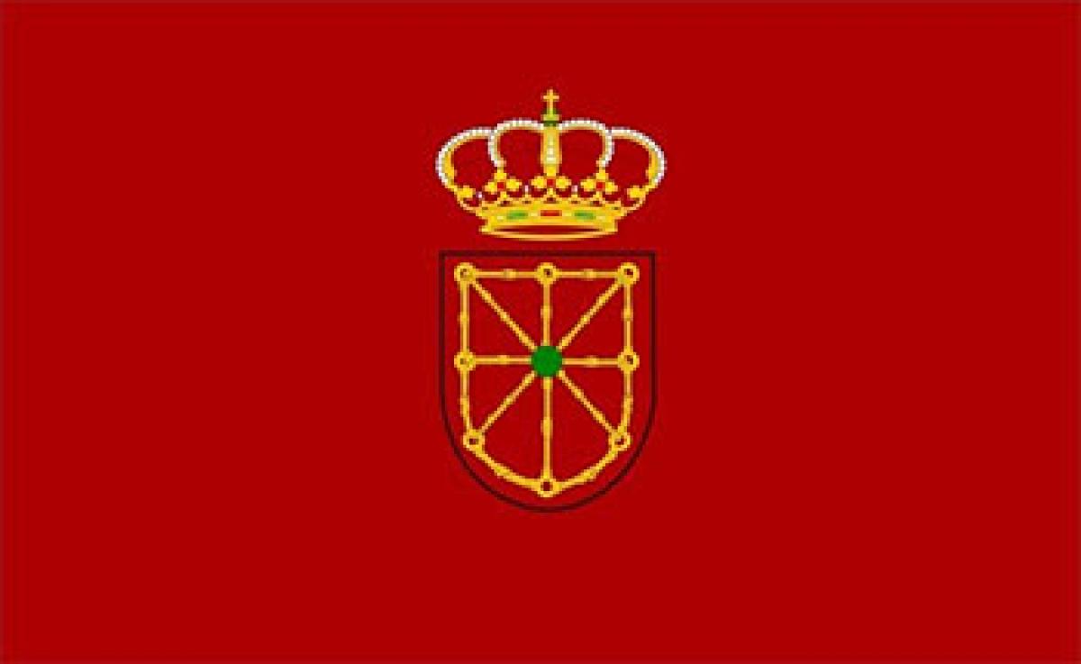 bandera navarra