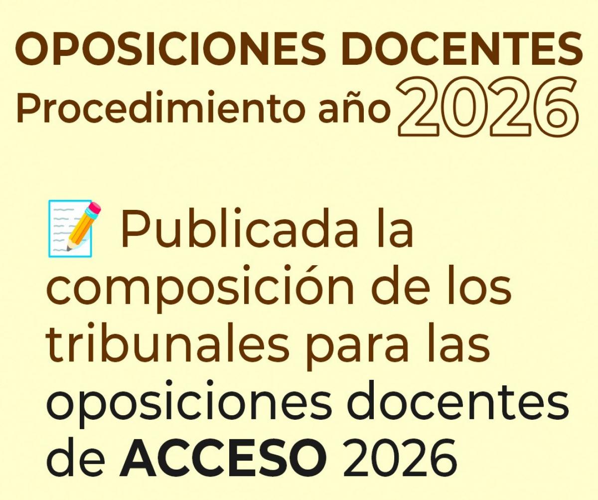 Tribunales acceso