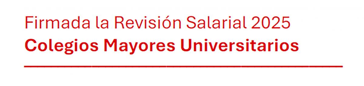 Revisin Salarial 2025