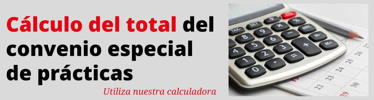 Clculo del total del convenio especial de prcticas