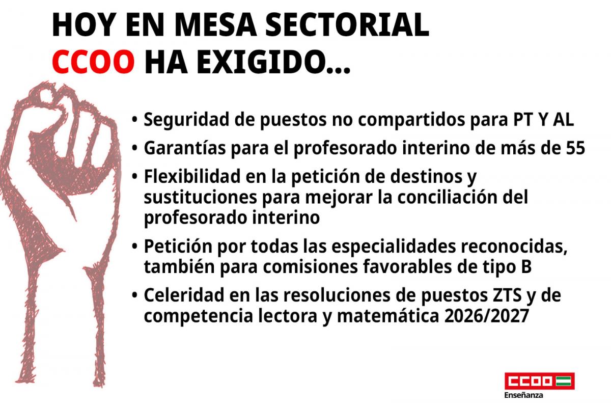CCOO mesa sectorial CE