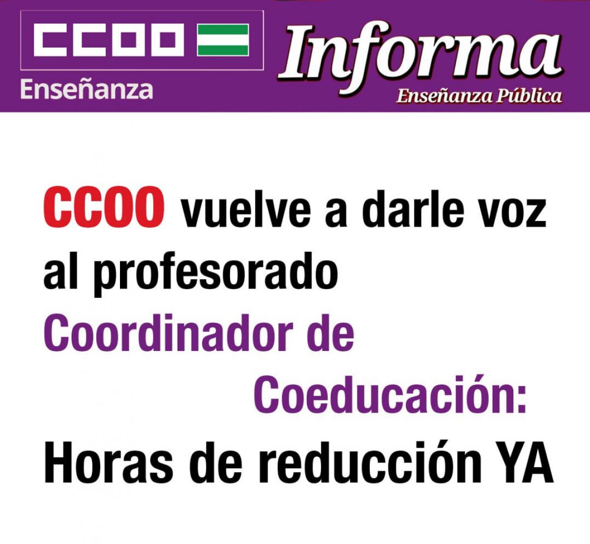 coeducacin