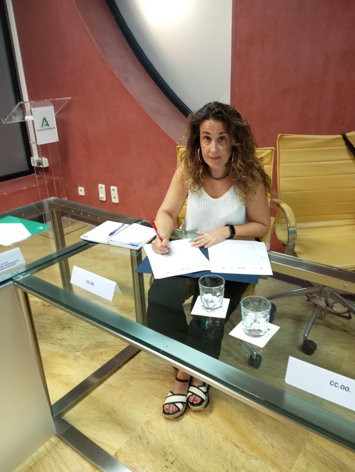 Firma PTIS-ILSE