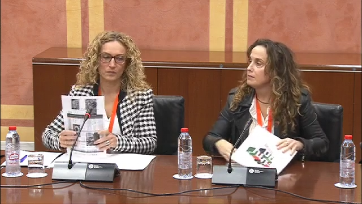 Comparecencia al Proyecto de Ley del Presupuesto de la Comunidad Autónoma de Andalucía para el año 2026