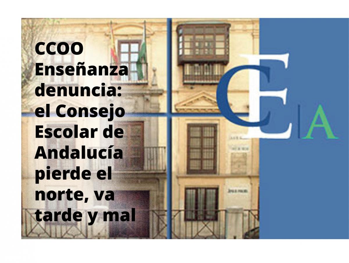 Consejo Escolar de Andalucía pierde el norte
